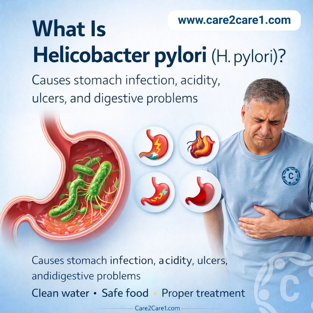 Helicobacter pylori H. pylori